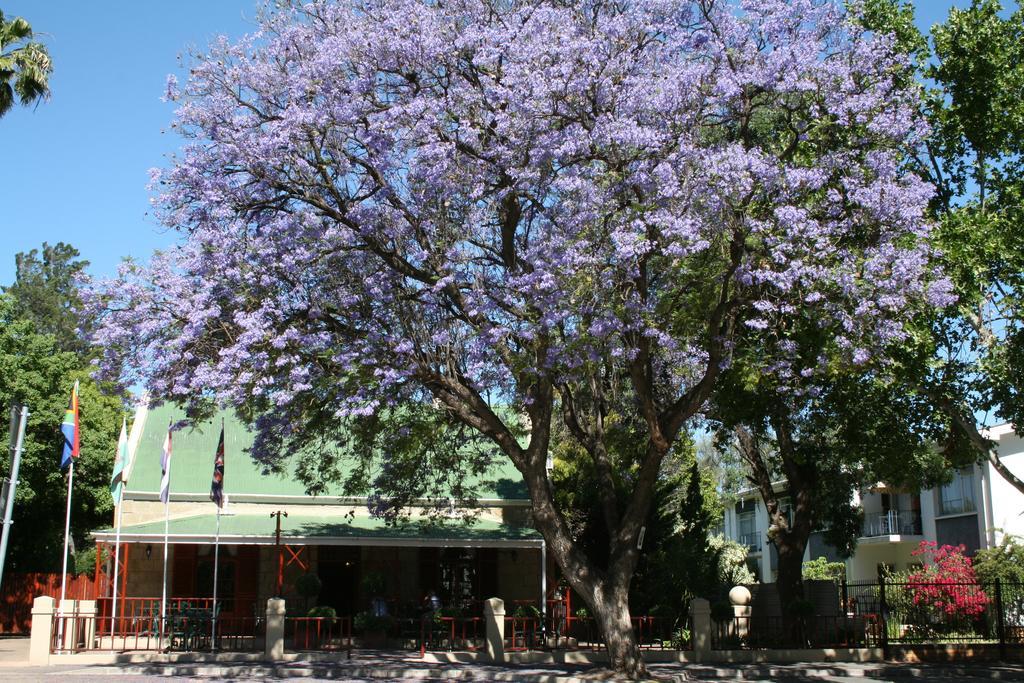 88 Baron Van Reede Guesthouse Oudtshoorn Exteriér fotografie